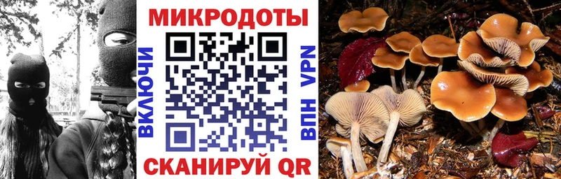 Галлюциногенные грибы GOLDEN TEACHER Купить закладки Вязьма